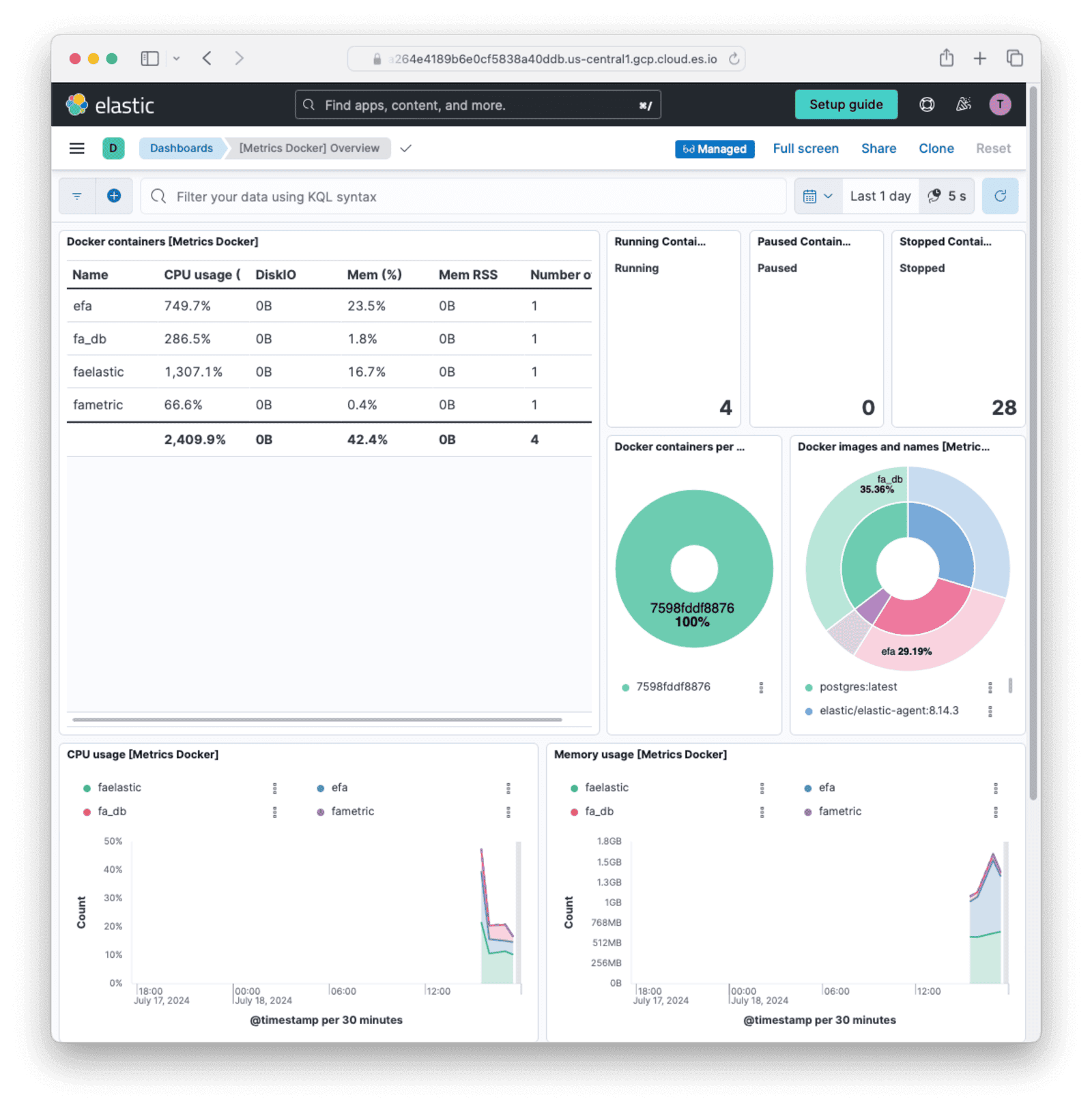 Docker metrics overview in Elastic